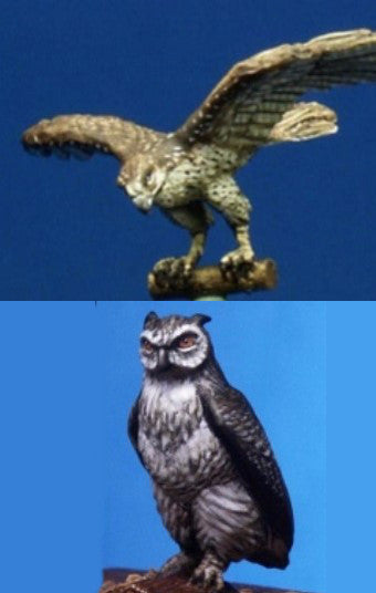 Eagle-Owl / Falcon