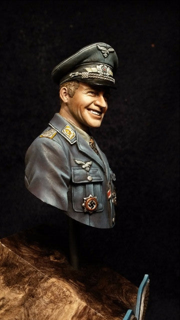 Hans-Ulrich Rudel, Stuka Pilot