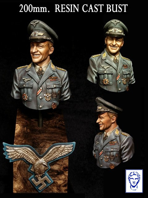 Hans-Ulrich Rudel, Stuka Pilot