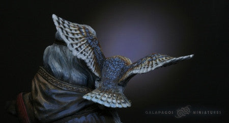 The Messenger