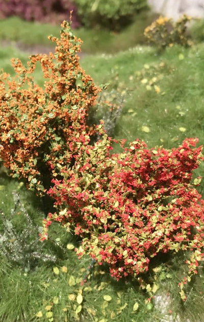 Selection of Shrubs Blooming 3cm