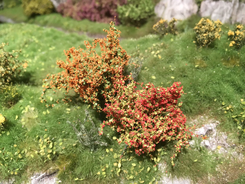 Selection of Shrubs, Blooming - 5cm