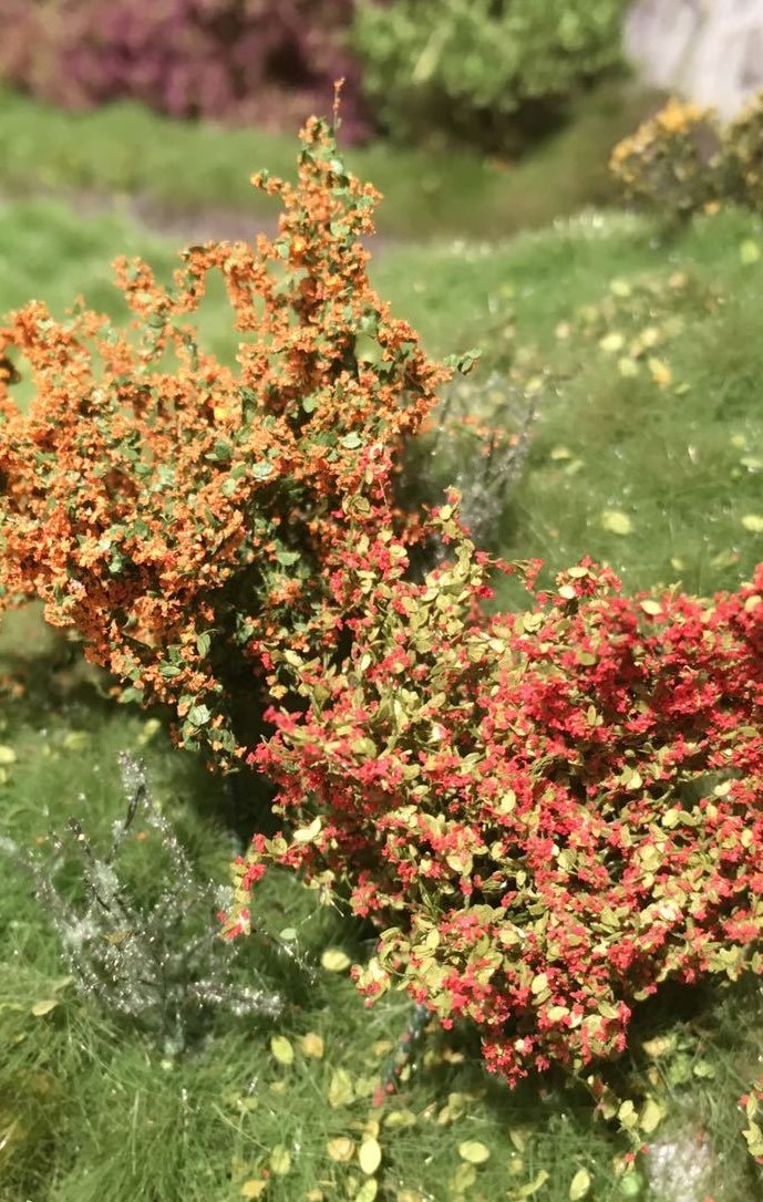 Selection of Shrubs, Blooming - 5cm