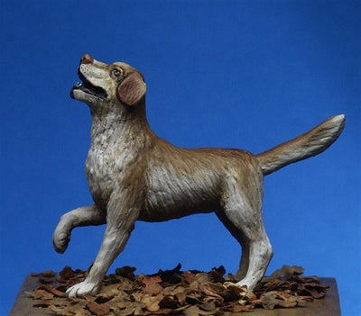 Labrador