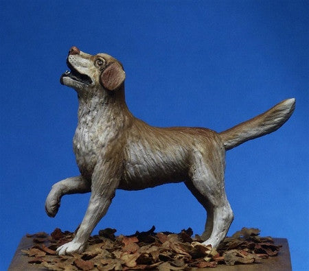 Labrador