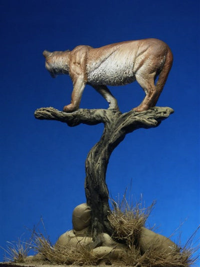 Puma