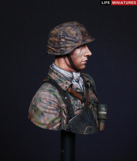 Panzergrenadier,12th SS Panzer Division &