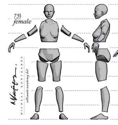 Anatomy Female 75mm