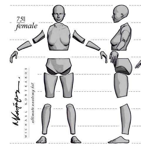 Anatomy Female 75mm