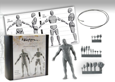 Anatomy Male 75mm