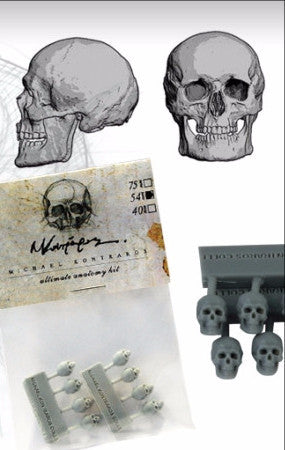Skulls 54mm