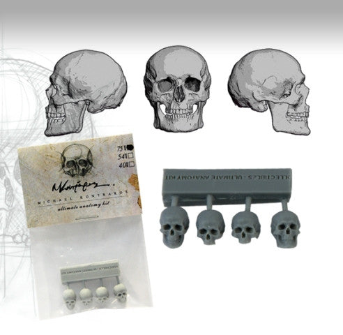 Skulls 75mm