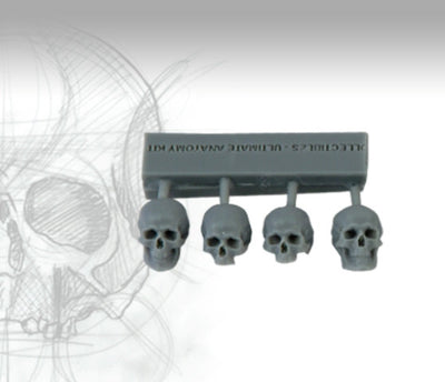 Skulls 75mm