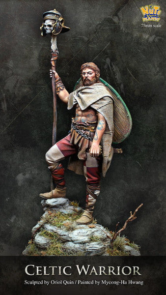 Celtic Warrior