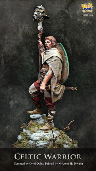 Celtic Warrior