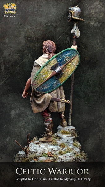 Celtic Warrior