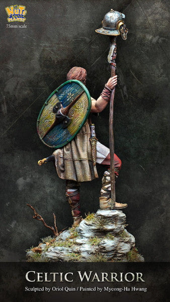Celtic Warrior