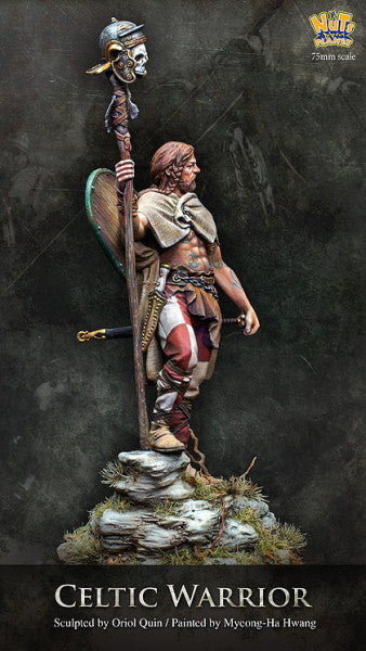 Celtic Warrior
