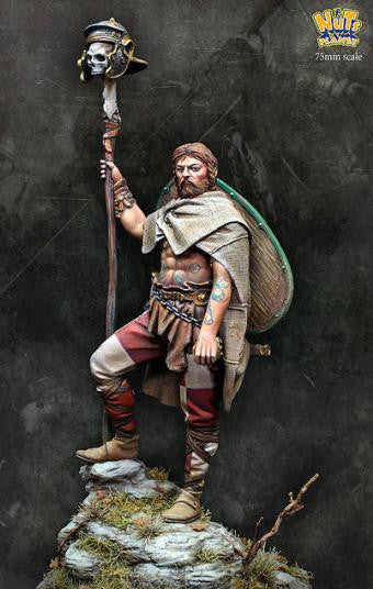Celtic Warrior