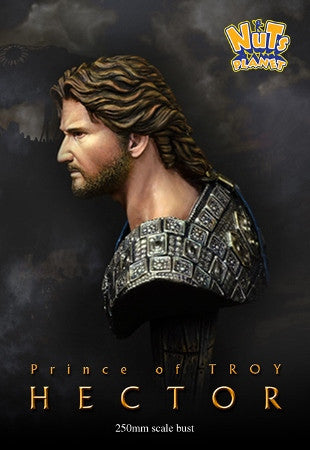 Hector (Prince of Troy)