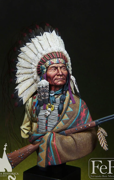 Sioux Chief Little Big Horn, 1876