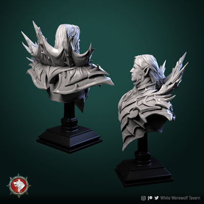 Hork the Merciful Bust- 3D Print