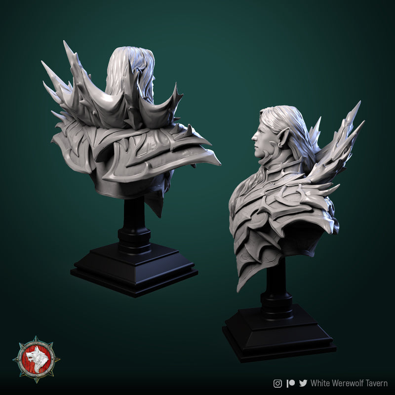 Hork the Merciful Bust- 3D Print