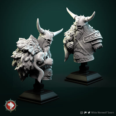 Kolgrim Viking Bust - 3D Print