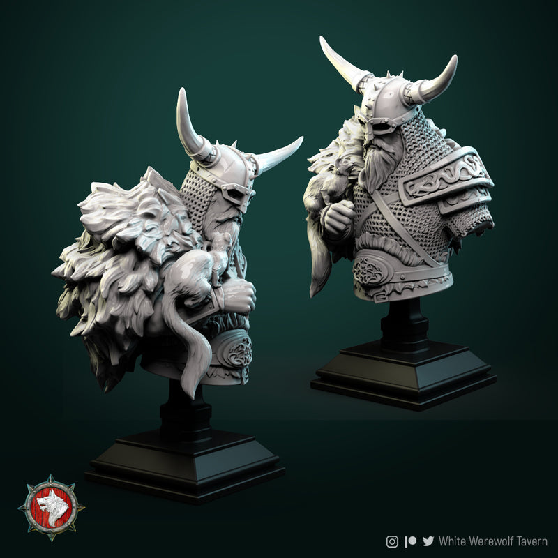 Kolgrim Viking Bust - 3D Print