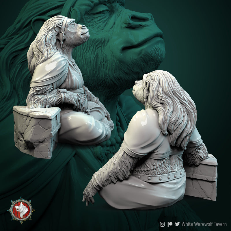 Monkey King Wife  - 75mm - 3D Print