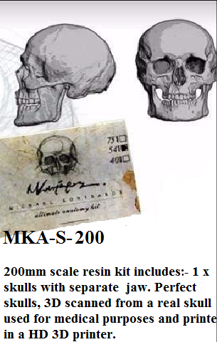 Skull 200mm