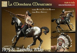 Tashunka Witko (Crazy Horse)